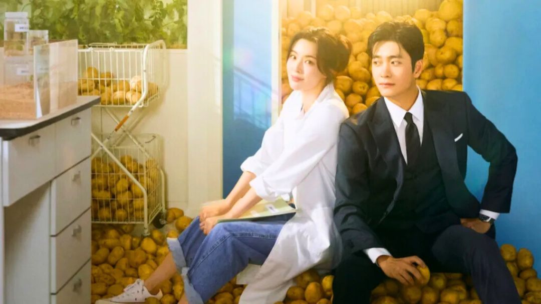 A Comprehensive Look at The Potato Lab 2025