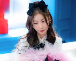 A Comprehensive Look at Dreaming of a Freaking Fairytale 2024