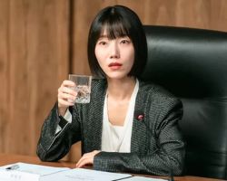 A Comprehensive Look at Undercover High School 2025