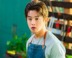 A Comprehensive Look at Typhoon Family 2025