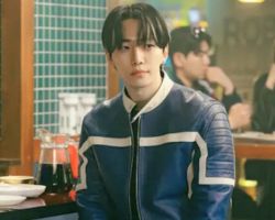 A Safe Peek at Typhoon Family 2025