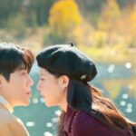 A Comprehensive Look at Can This Love be Translated 2026